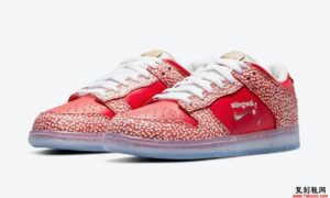 Stingwater Nike SB Dunk Low DH7650-600发售日期