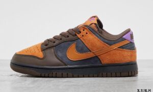 Nike Dunk Low Cider DH0601-001 发布日期信息