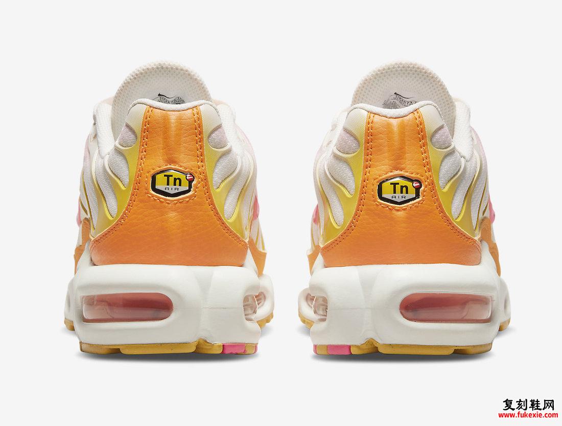 Nike Air Max Plus DX2673-100 发布日期