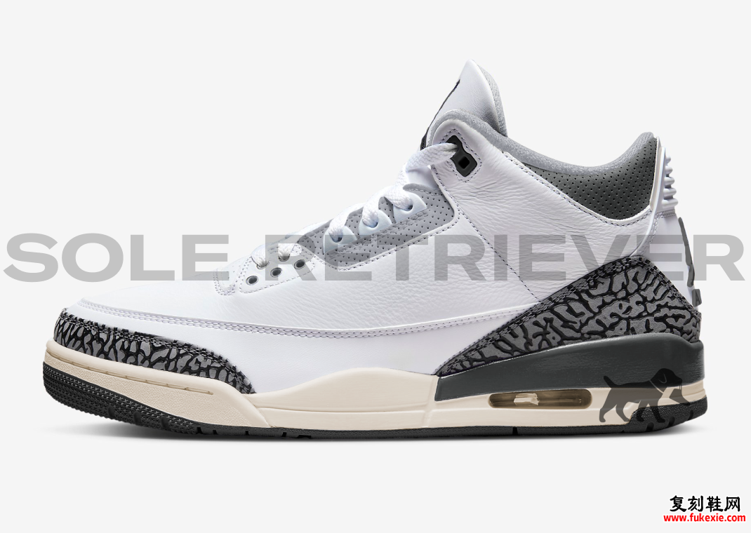 Air Jordan 3 GS Hide N Sneak DX6665-100 发布日期