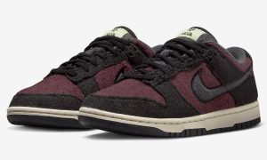 Nike Dunk Low Fleece DQ7579-600 发布日期