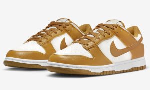 Nike Dunk Low Next Nature DN1431-001 发布日期