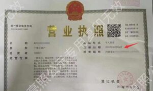 一个品3个月赚150万,适用于抖音/视频号【项目拆解】