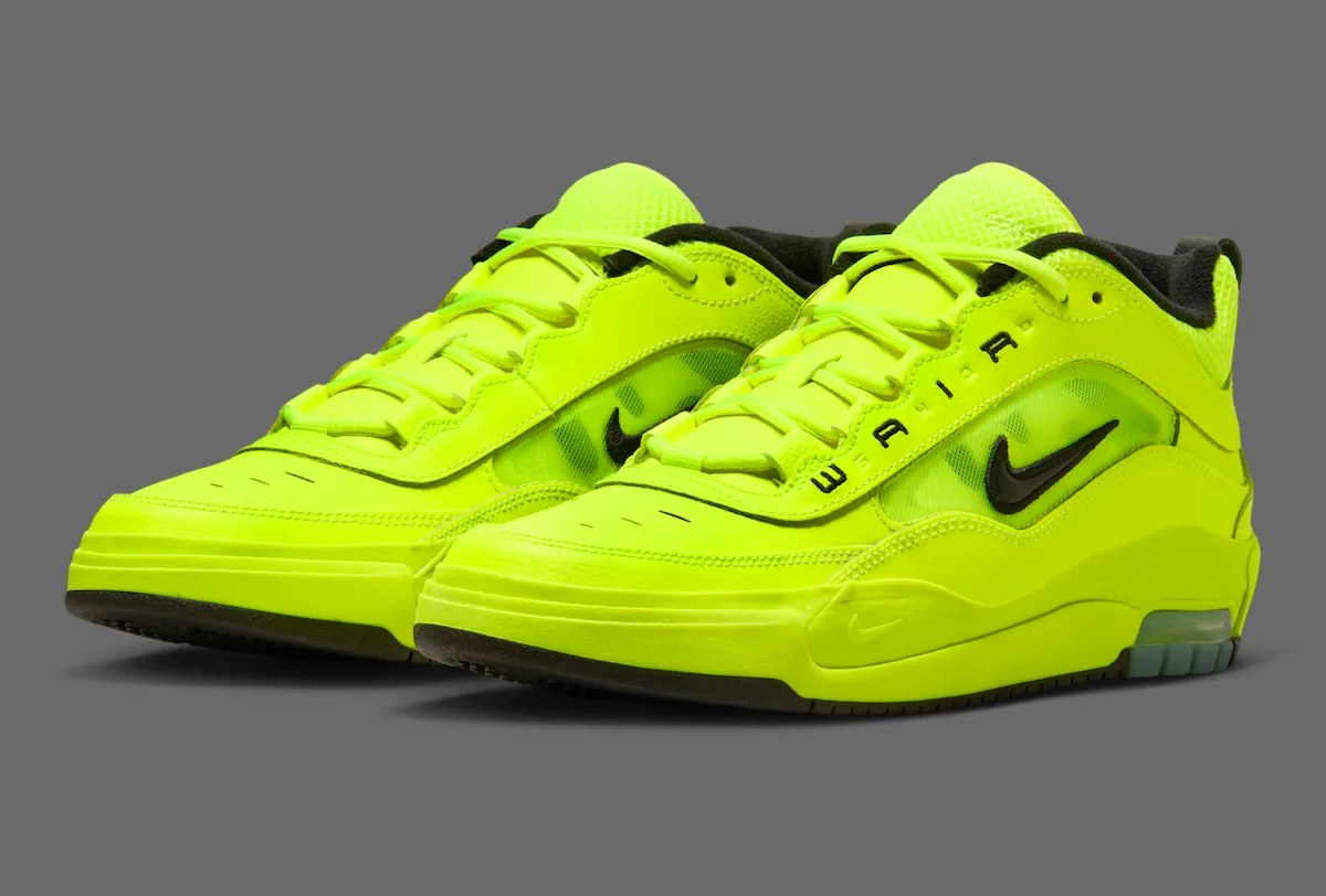 Nike SB Air Max Ishod