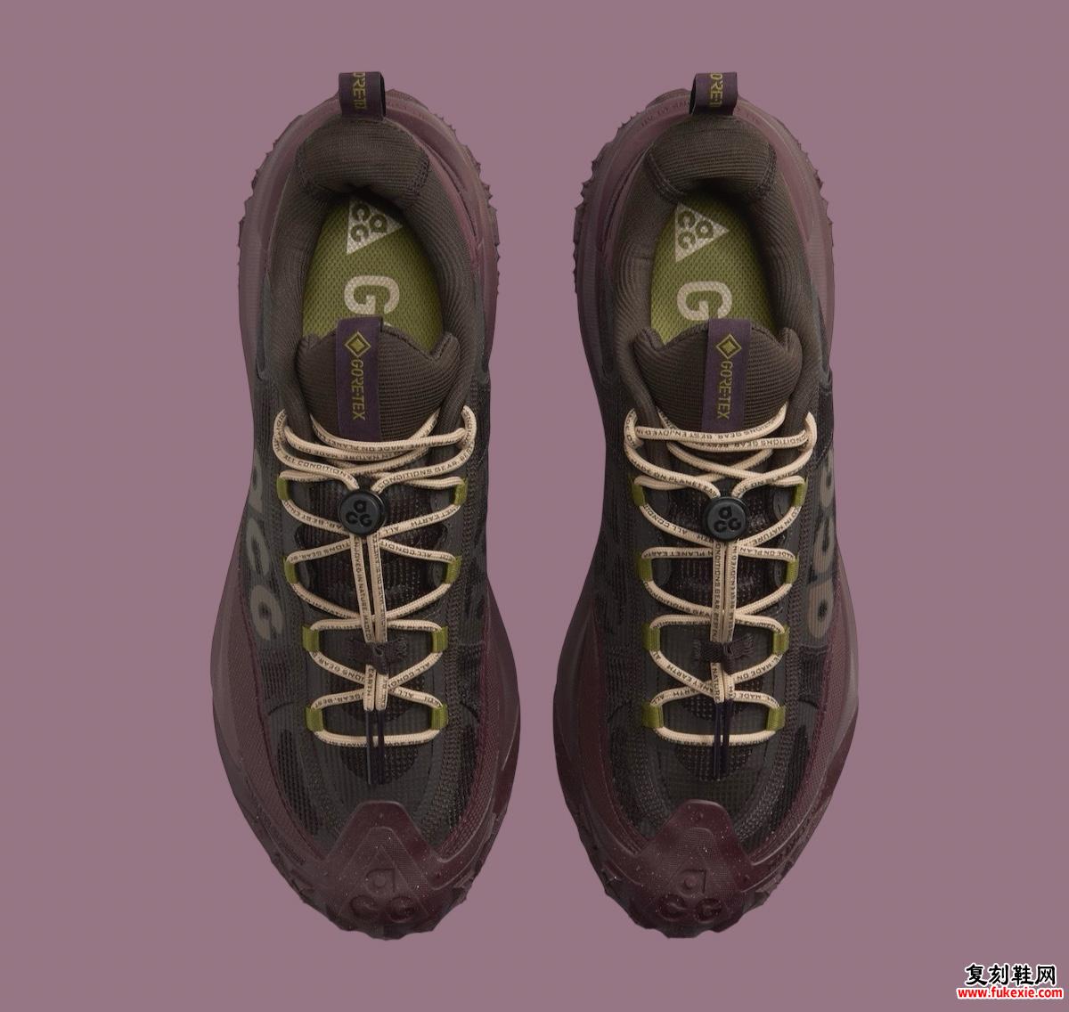 NIKE ACG MOUNTAIN FLY 2 LOW GORE-TEX“天鹅绒棕”将于 2024 年秋季发售