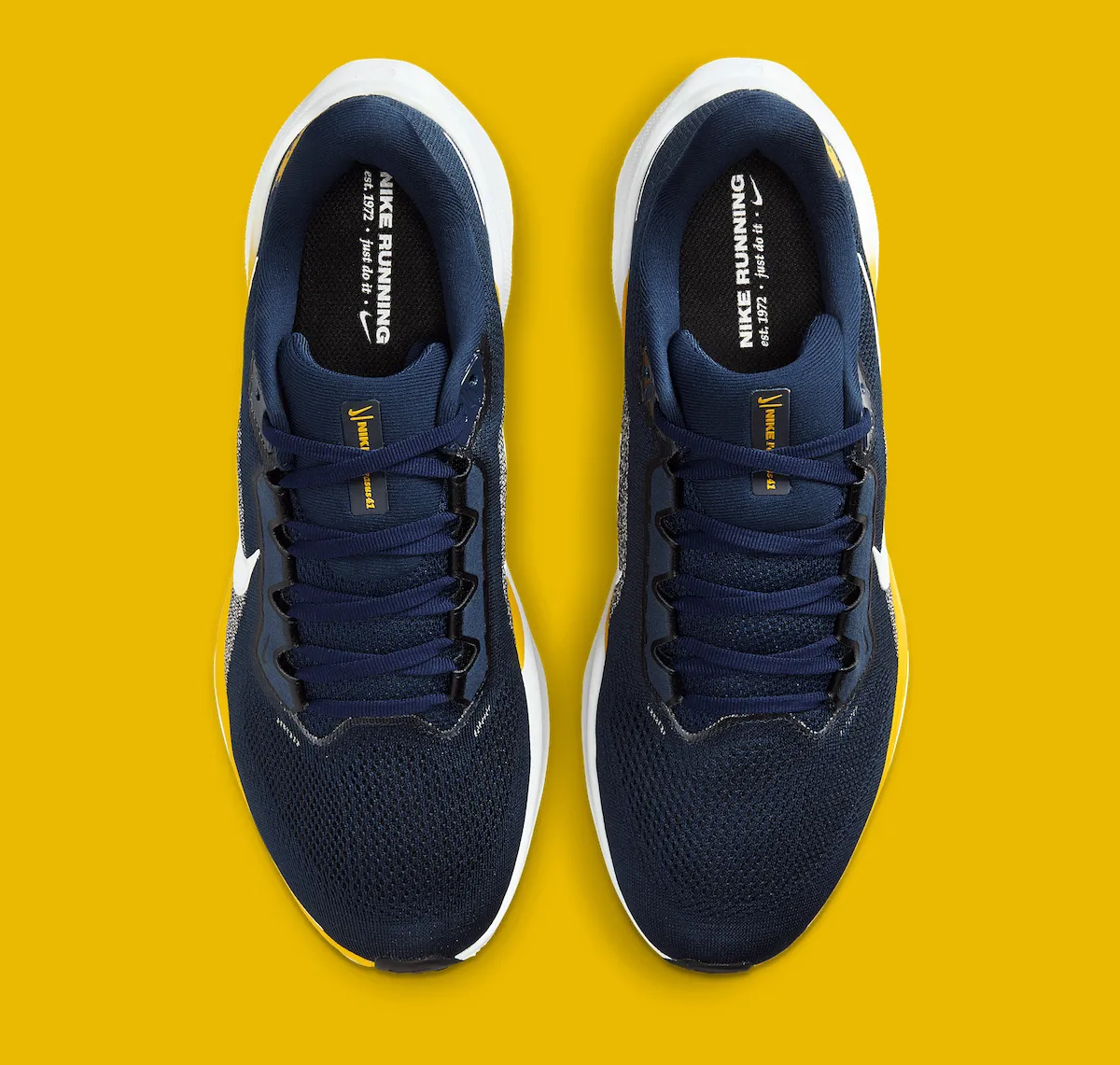 Nike Pegasus 41 密歇根限量版：双气垫碳足迹降43%与NCAA冠军基因深度解析