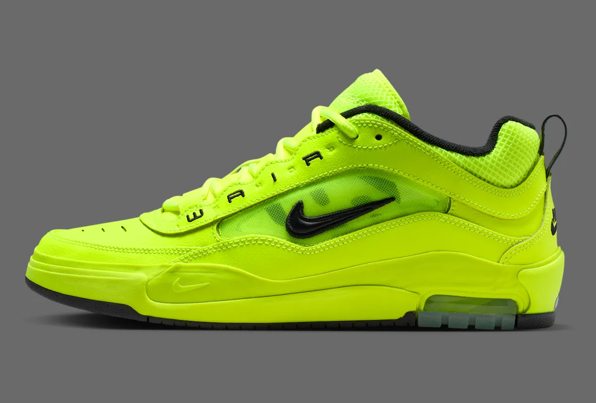 Nike SB Air Max Ishod