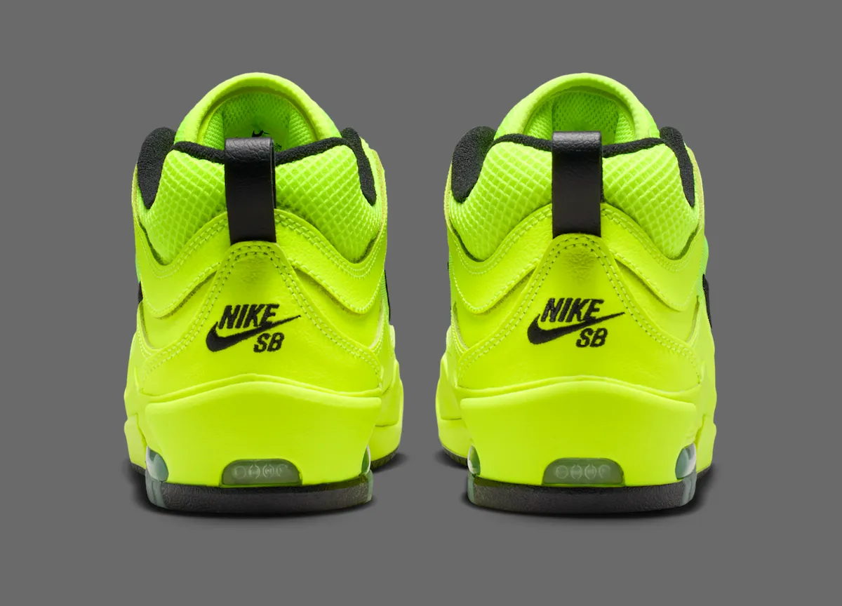 Nike SB Air Max Ishod