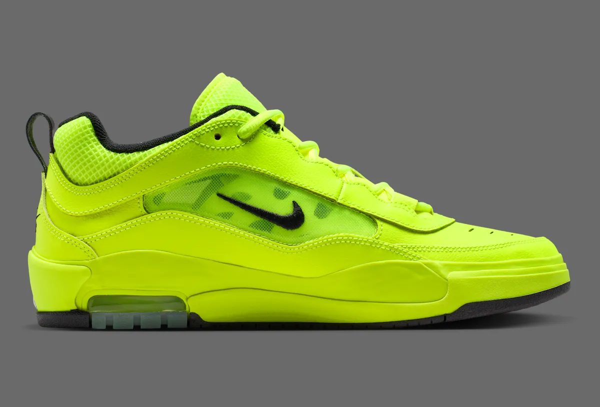 Nike SB Air Max Ishod