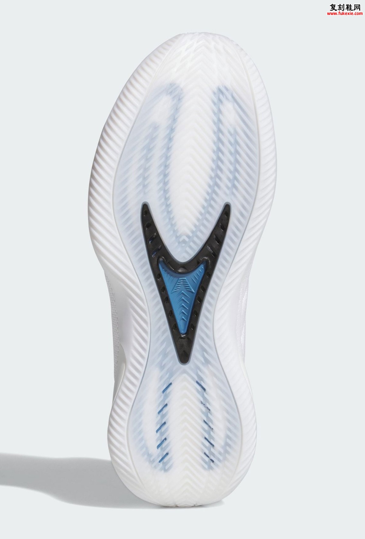 adidas AE 2 Alphadawg 12月6日发售：黑白主调融入狼队蓝细节惊艳亮相
